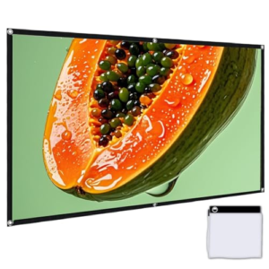 Eldo Electronic Projector Screen 300cm x 300cm